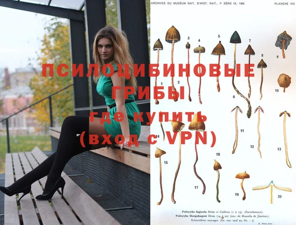 альфа пвп VHQ Алзамай