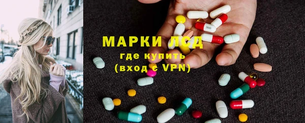 индика Абинск