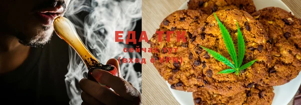 индика Абинск