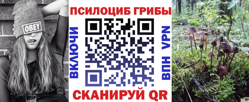 цена наркотик Усолье-Сибирское Галлюциногенные грибы Cubensis