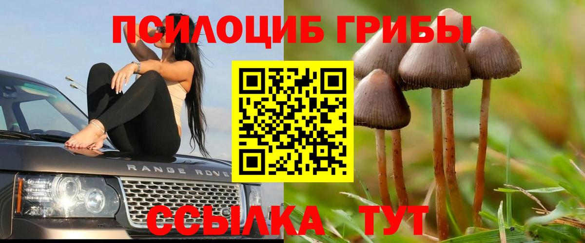 Усолье-Сибирское  Галлюциногенные грибы Psilocybe  Вход с VPN 